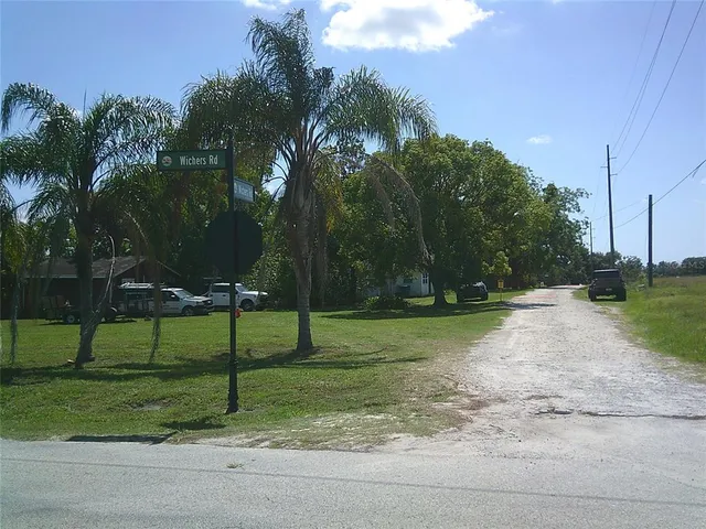 a view of a park with palm trees