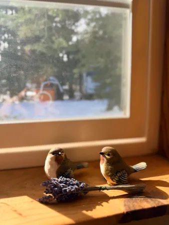 $390,950 | 5580 Pony Express Trail, Camino, CA 95709