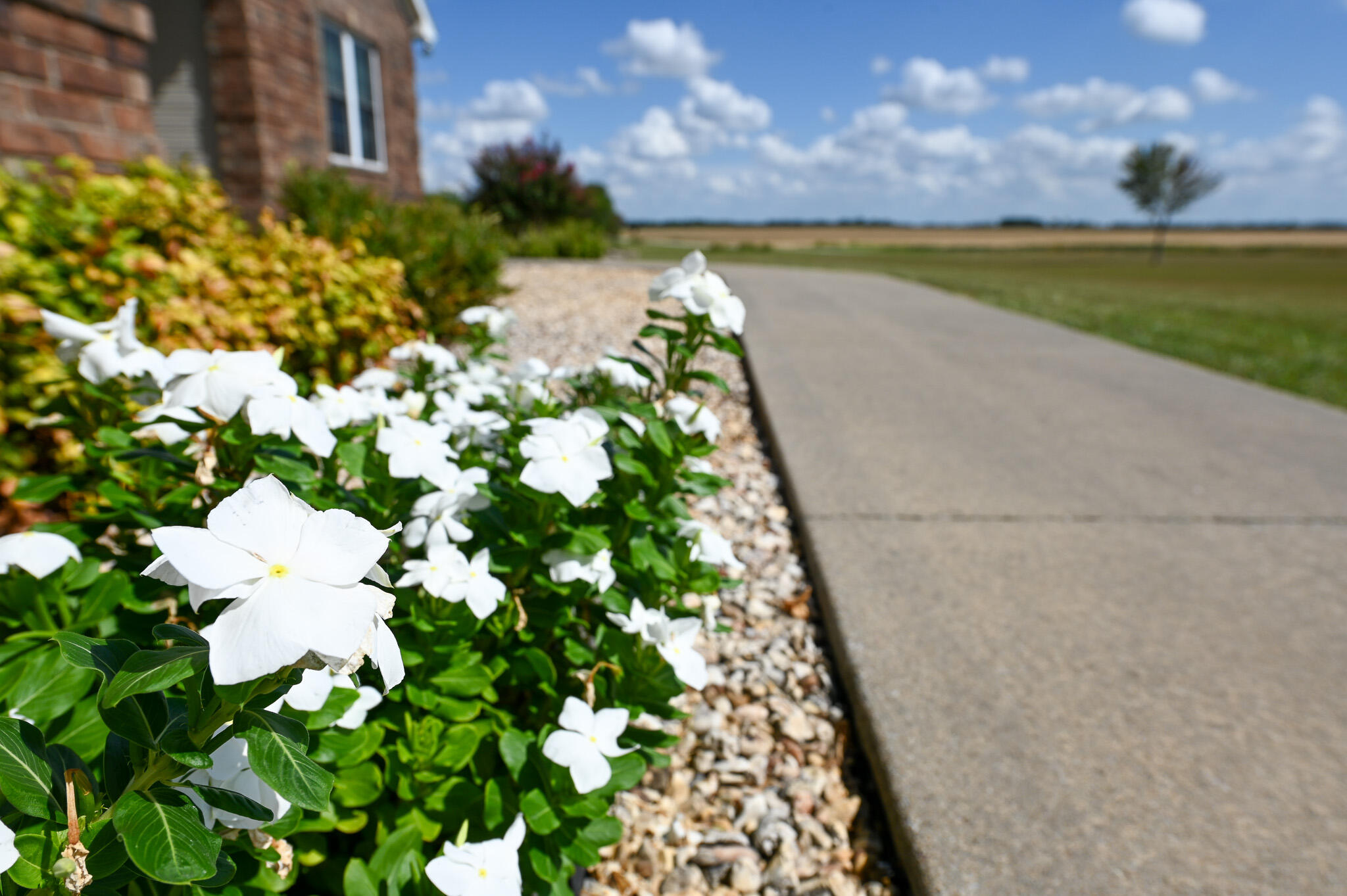 672 Southwest 15th Road Liberal, MO 64762 - Photo 48 of 85 DSC_5285