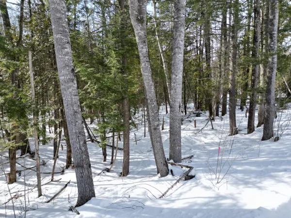 $29,000 | 8 Twin Spgs Lane, Lincoln, ME 04457