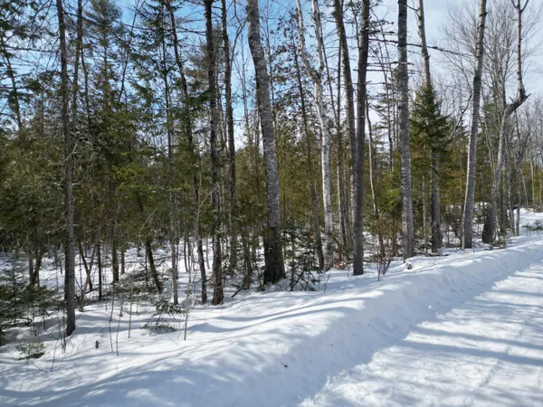$29,000 | 8 Twin Spgs Lane, Lincoln, ME 04457
