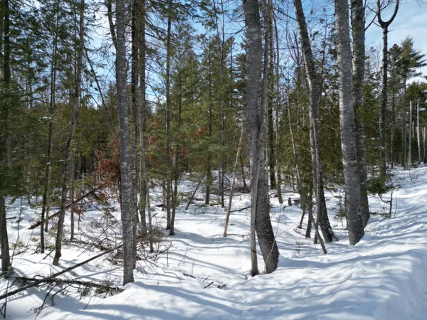 $29,000 | 8 Twin Spgs Lane, Lincoln, ME 04457