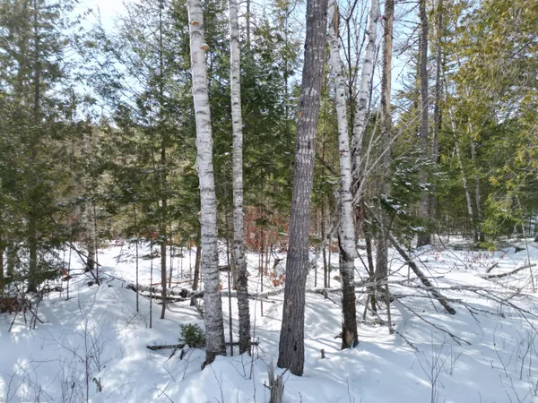 $29,000 | 8 Twin Spgs Lane, Lincoln, ME 04457