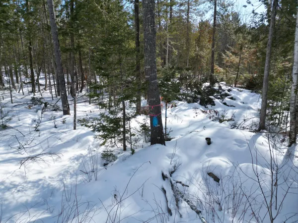 $29,000 | 8 Twin Spgs Lane, Lincoln, ME 04457