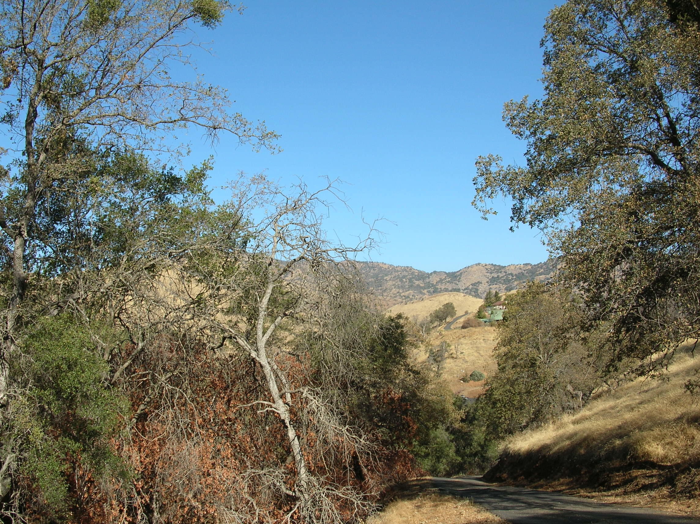 0 Terminus Court Three Rivers, CA 93271 - Photo 9 of 19 Subject property to the left