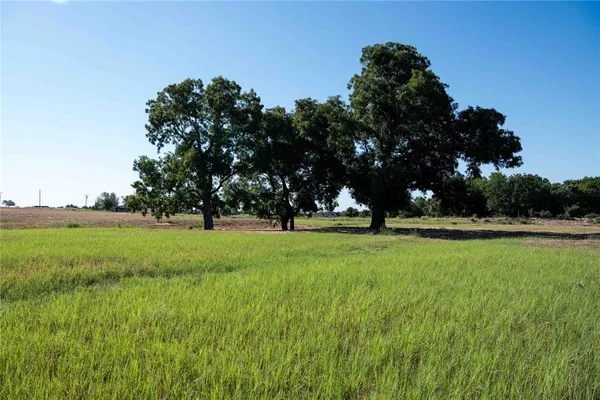 a view of green field