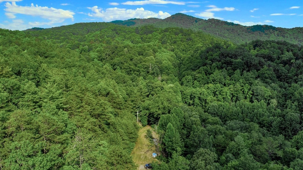 1634 Green Corner Road Hartford, TN 37753 - Photo 6 of 40 Gallery Image 6
