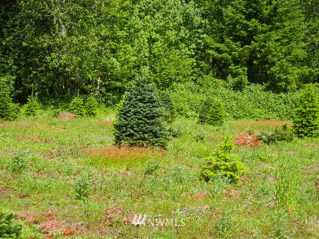 430 Englert Road Woodland, WA 98674 - Photo 1 of 9 Gallery Image 1