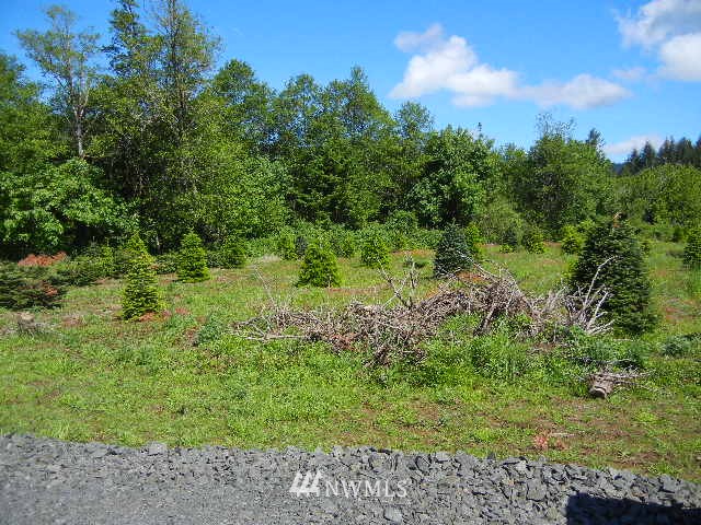 430 Englert Road Woodland, WA 98674 - Photo 2 of 9 Gallery Image 2