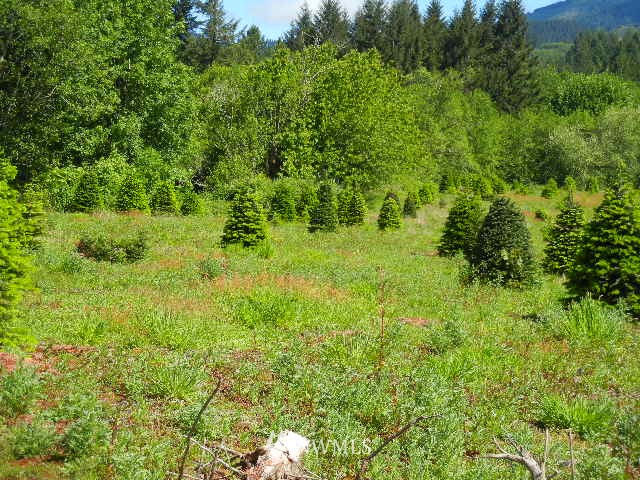 430 Englert Road Woodland, WA 98674 - Photo 3 of 9 Gallery Image 3