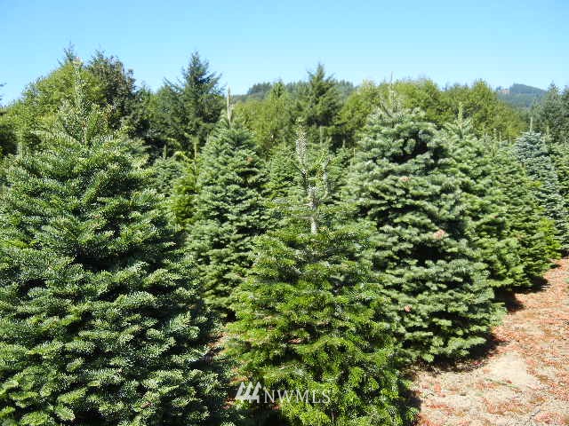430 Englert Road Woodland, WA 98674 - Photo 5 of 9 Gallery Image 5