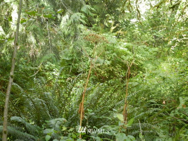 430 Englert Road Woodland, WA 98674 - Photo 7 of 9 Gallery Image 7