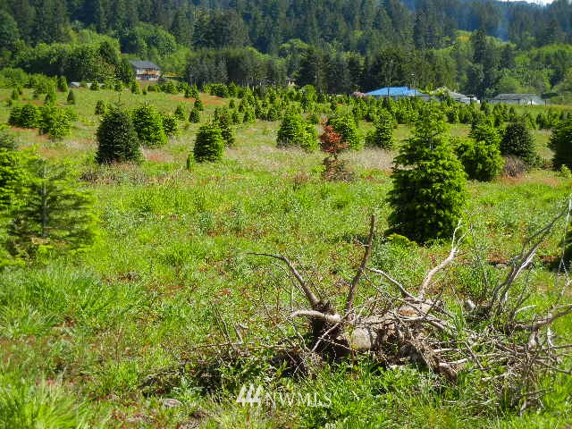 430 Englert Road Woodland, WA 98674 - Photo 9 of 9 Gallery Image 9