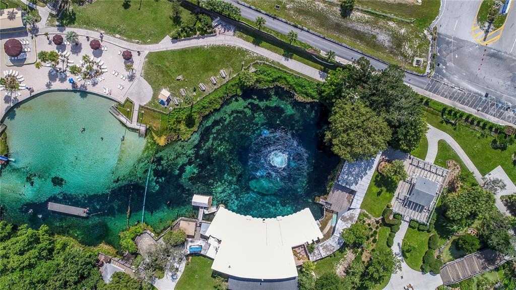 5261 Circle Drive Weeki Wachee, FL 34607 - Photo 47 of 48