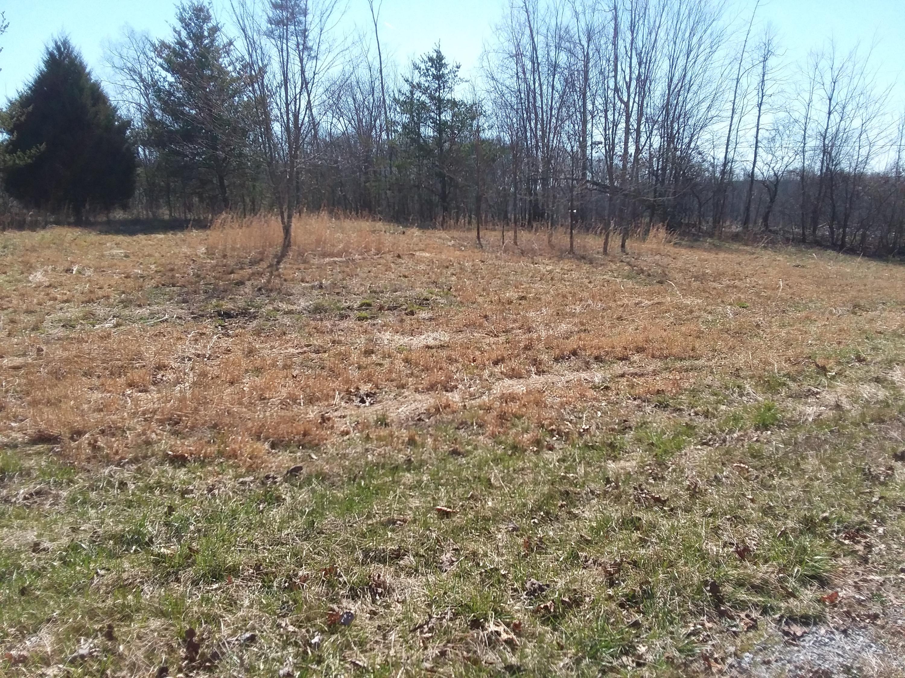 306 Brewer Road, Unit 13 Pikeville, TN 37367 - Photo 12 of 23 20200307_100141