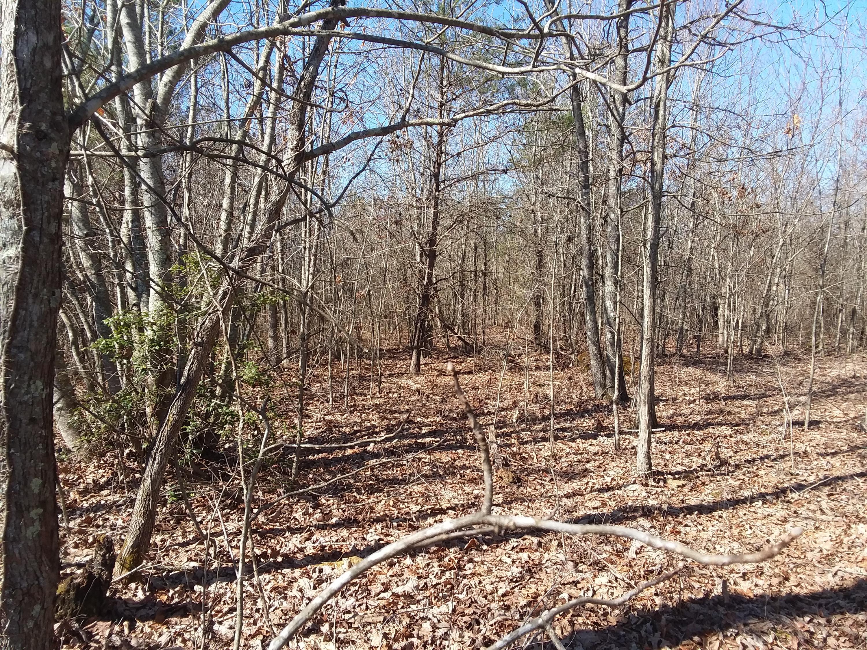 306 Brewer Road, Unit 13 Pikeville, TN 37367 - Photo 16 of 23 20200307_100214