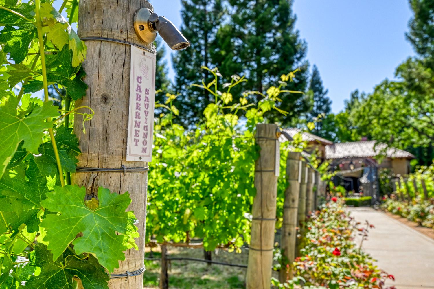 9345 King Road Loomis, CA 95650 - Photo 54 of 99