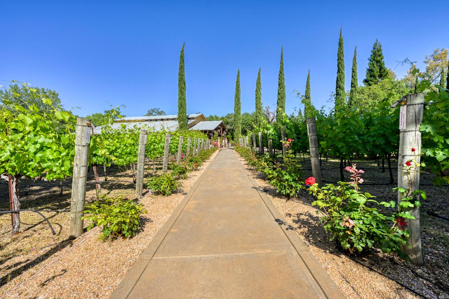 9345 King Road Loomis, CA 95650 - Photo 55 of 99