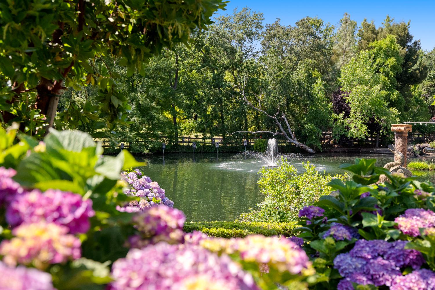 9345 King Road Loomis, CA 95650 - Photo 73 of 99