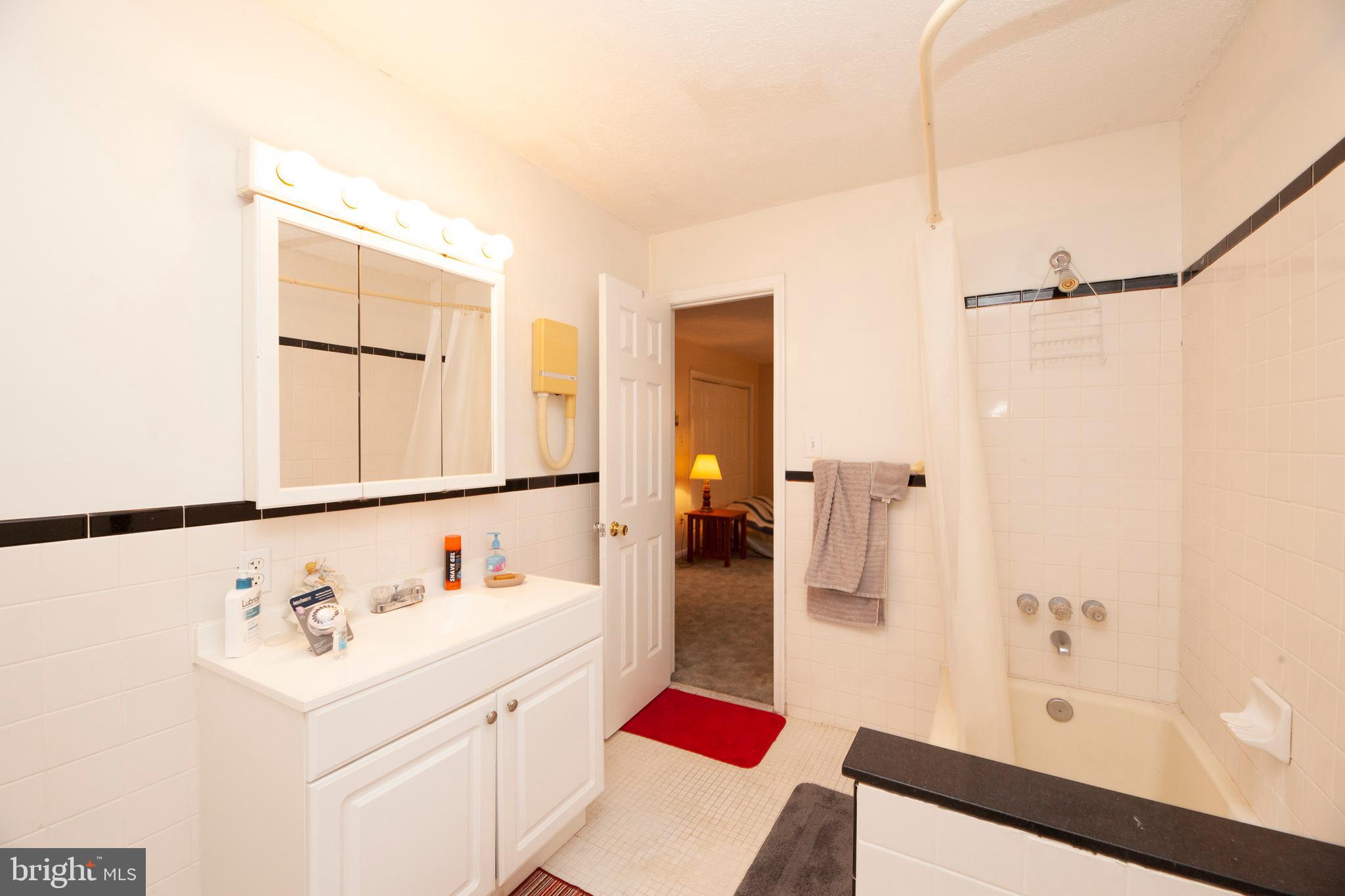 16000 Stone Foot Road Accokeek, MD 20607 - Photo 9 of 45 a bathroom with a sink and a mirror