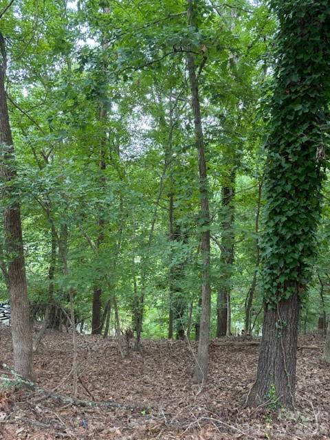 10045 Tepa Place Tega Cay, SC 29708 - Photo 1 of 2 Gallery Image 1