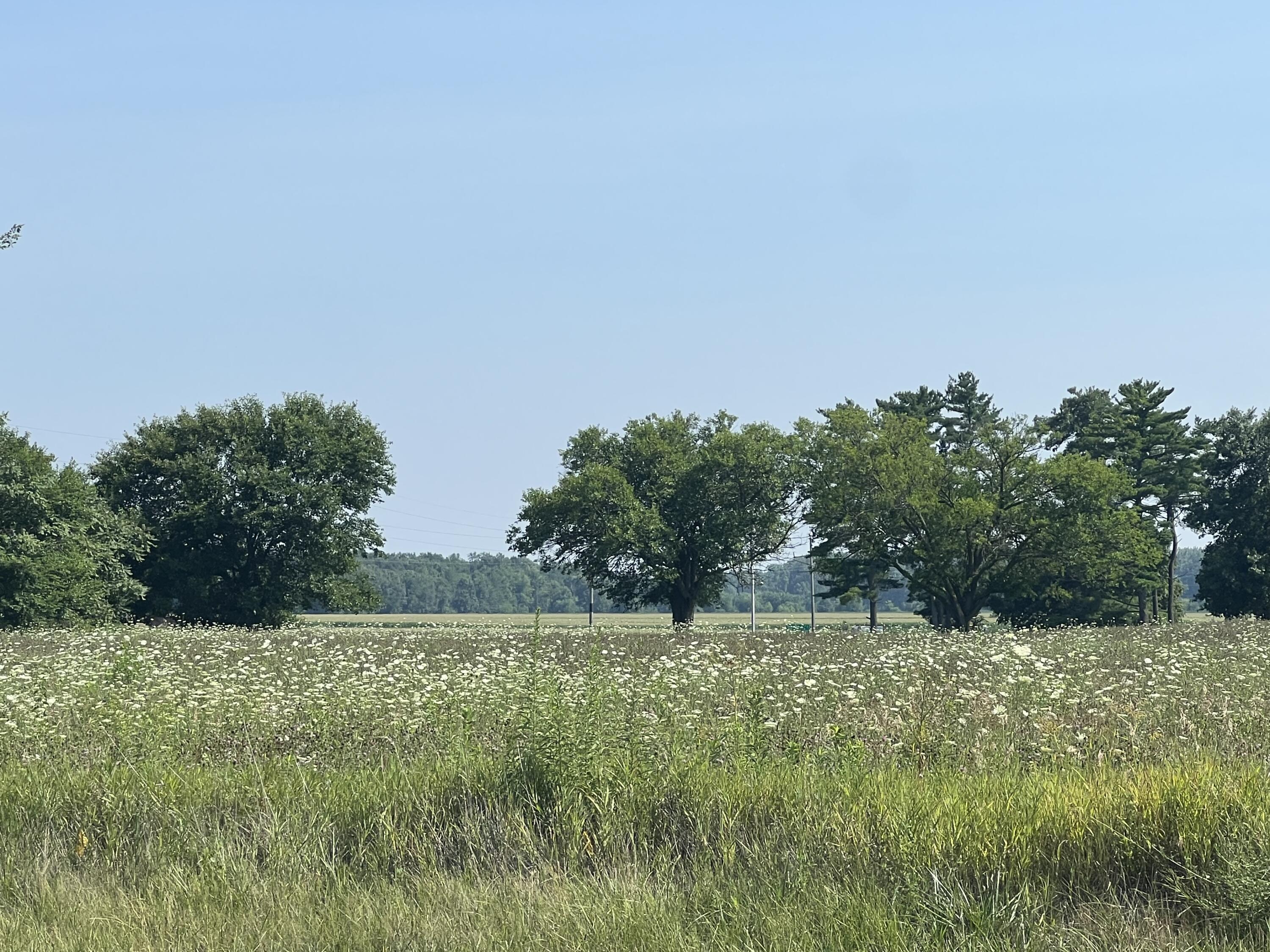 1000 South State Road 2 Hebron, IN 46341 - Photo 29 of 29 a view of a field with plants and trees in the background