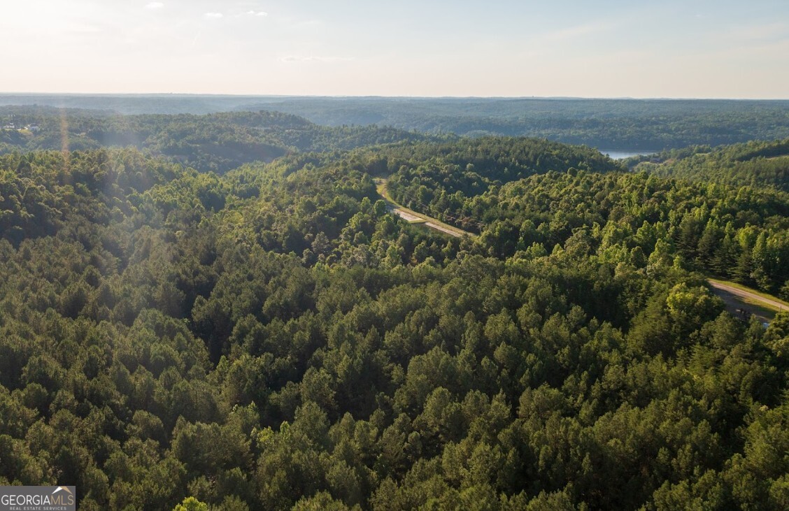 0 Gilmore Mine Road, Unit TRACT A/B Cottondale, AL 35453 - Photo 15 of 18