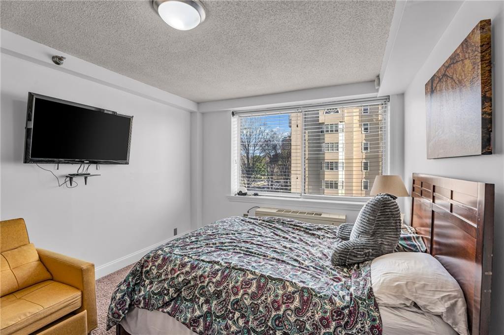 2479 Peachtree Street Northeast, Unit 508 Atlanta, GA 30305 - Photo 16 of 28