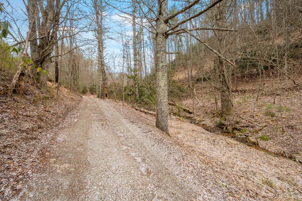 12-acres Powerhouse Road, Unit 14D Independence, VA 24348 - Photo 35 of 44 Gallery Image 35