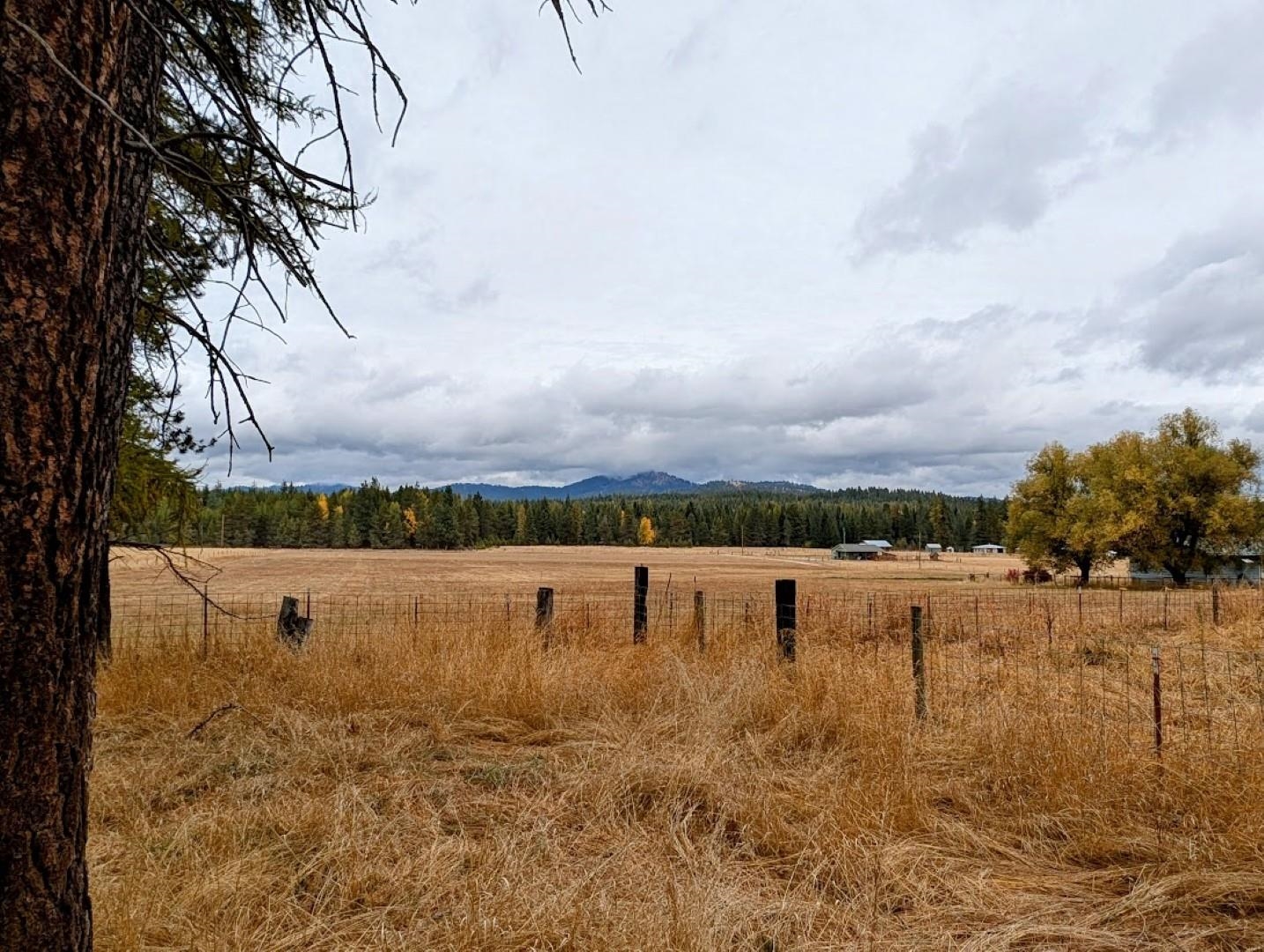 4584 Oregon Road Clayton, WA 99110 - Photo 45 of 49