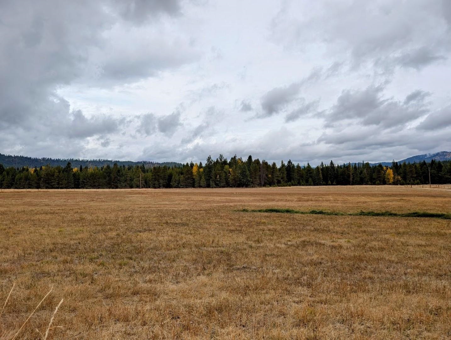 4584 Oregon Road Clayton, WA 99110 - Photo 46 of 49