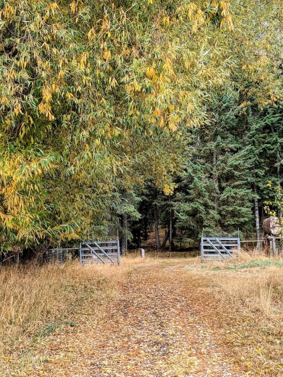 4584 Oregon Road Clayton, WA 99110 - Photo 47 of 49