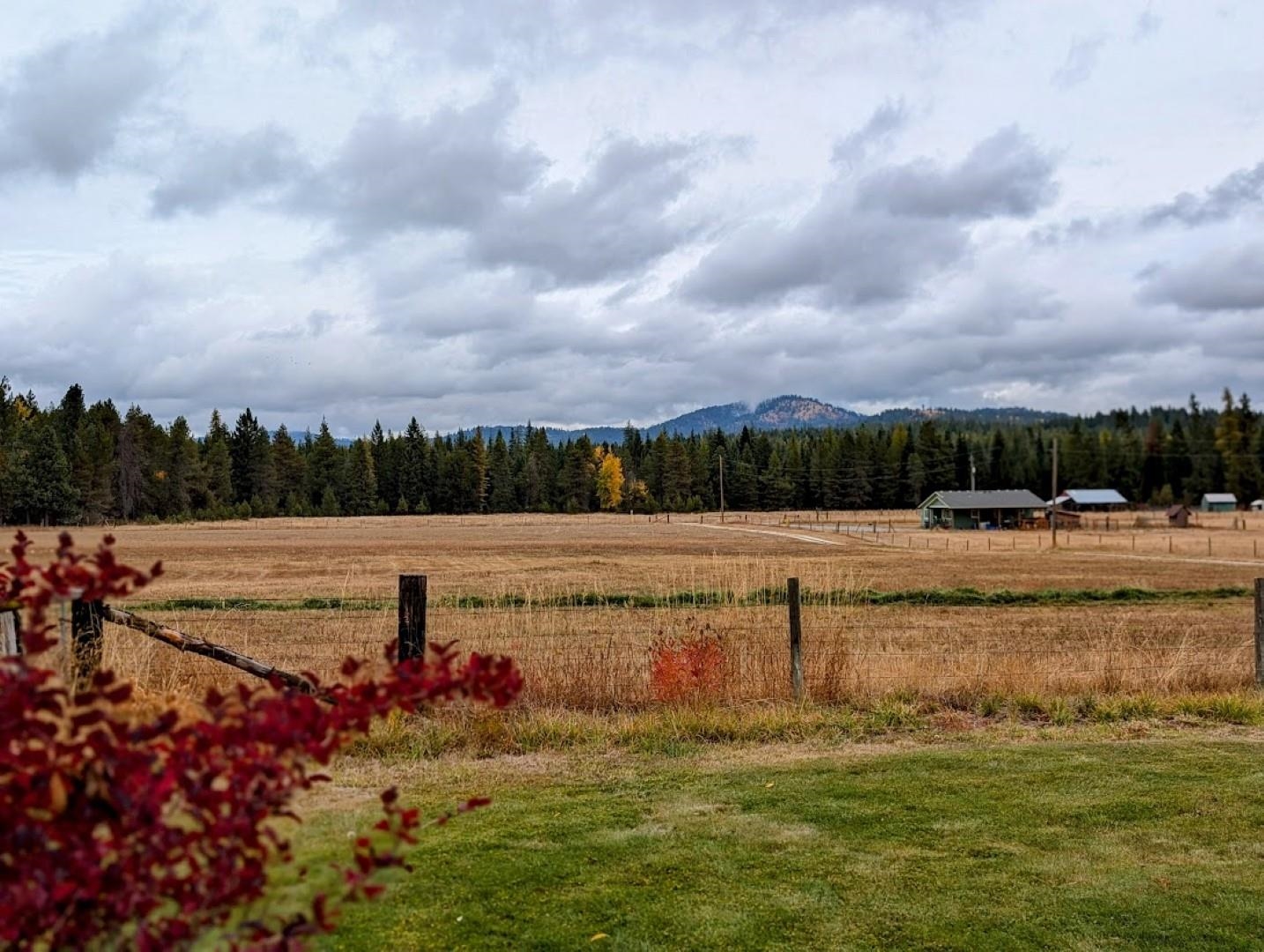 4584 Oregon Road Clayton, WA 99110 - Photo 5 of 49