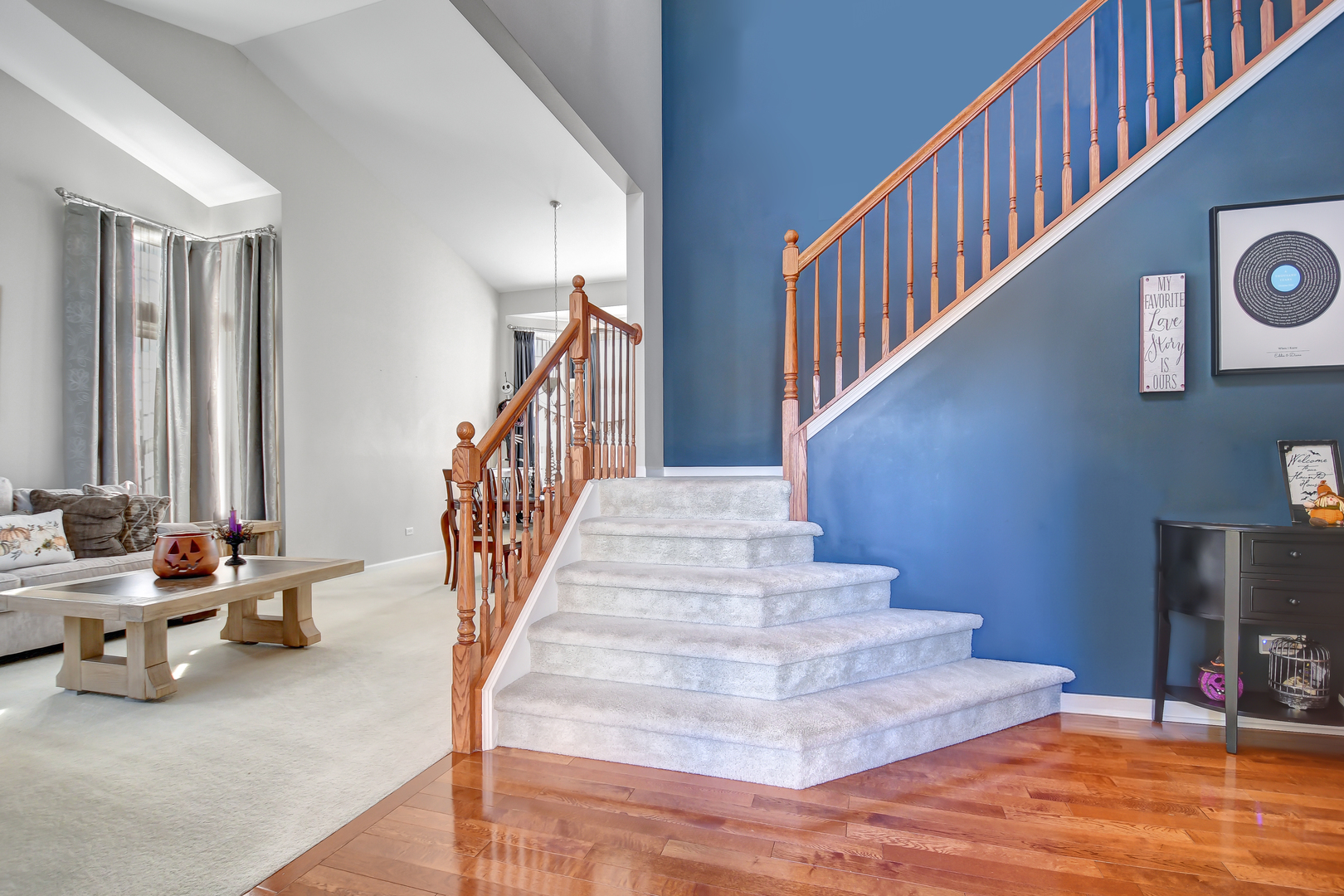 25758 South Basswood Road Channahon, IL 60410 - Photo 2 of 42 a view of entryway and hall with wooden floor