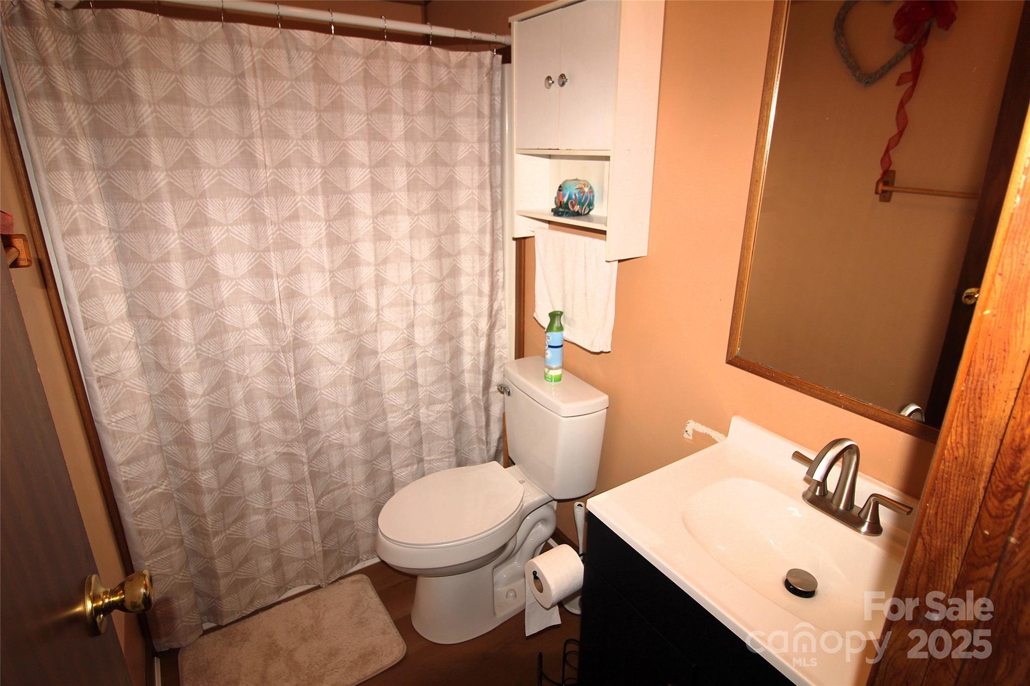 7035 Twin Streams Lane Clover, SC 29710 - Photo 18 of 22 a bathroom with a sink and toilet