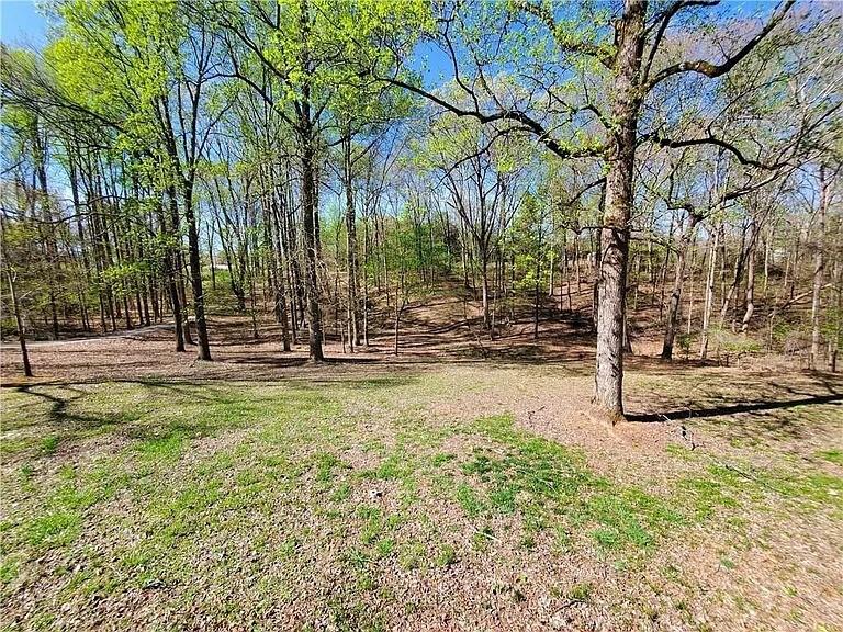 33 Resty Hughes Circle Dawsonville, GA 30534 - Photo 43 of 47