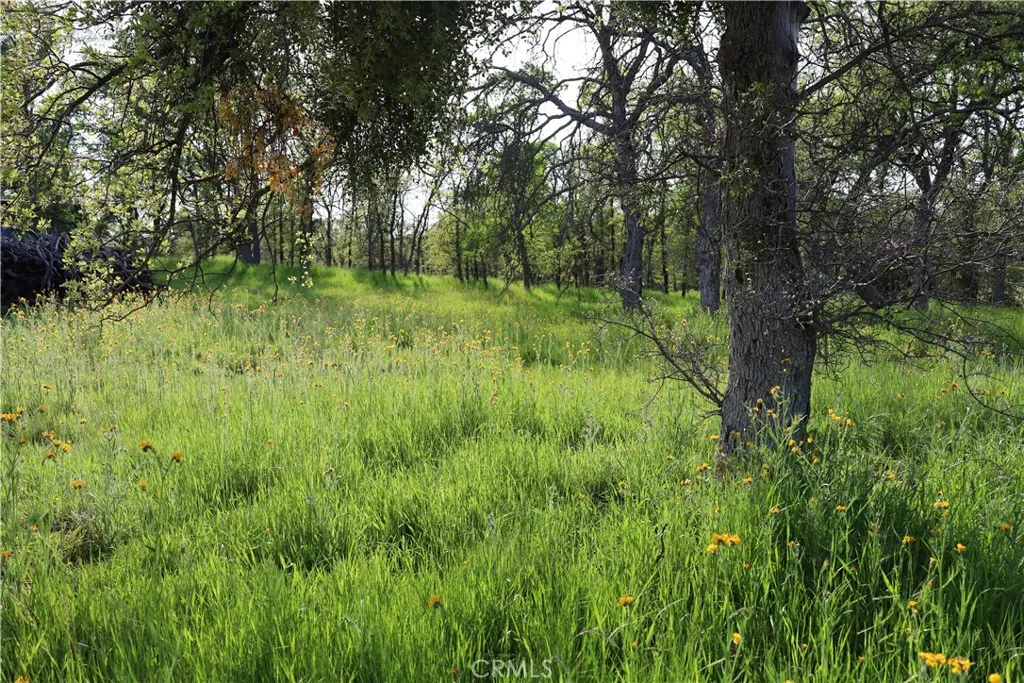 0 Douglas Road Coarsegold, CA 93614 - Photo 25 of 32