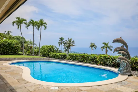 a view of a yard with a palm tree