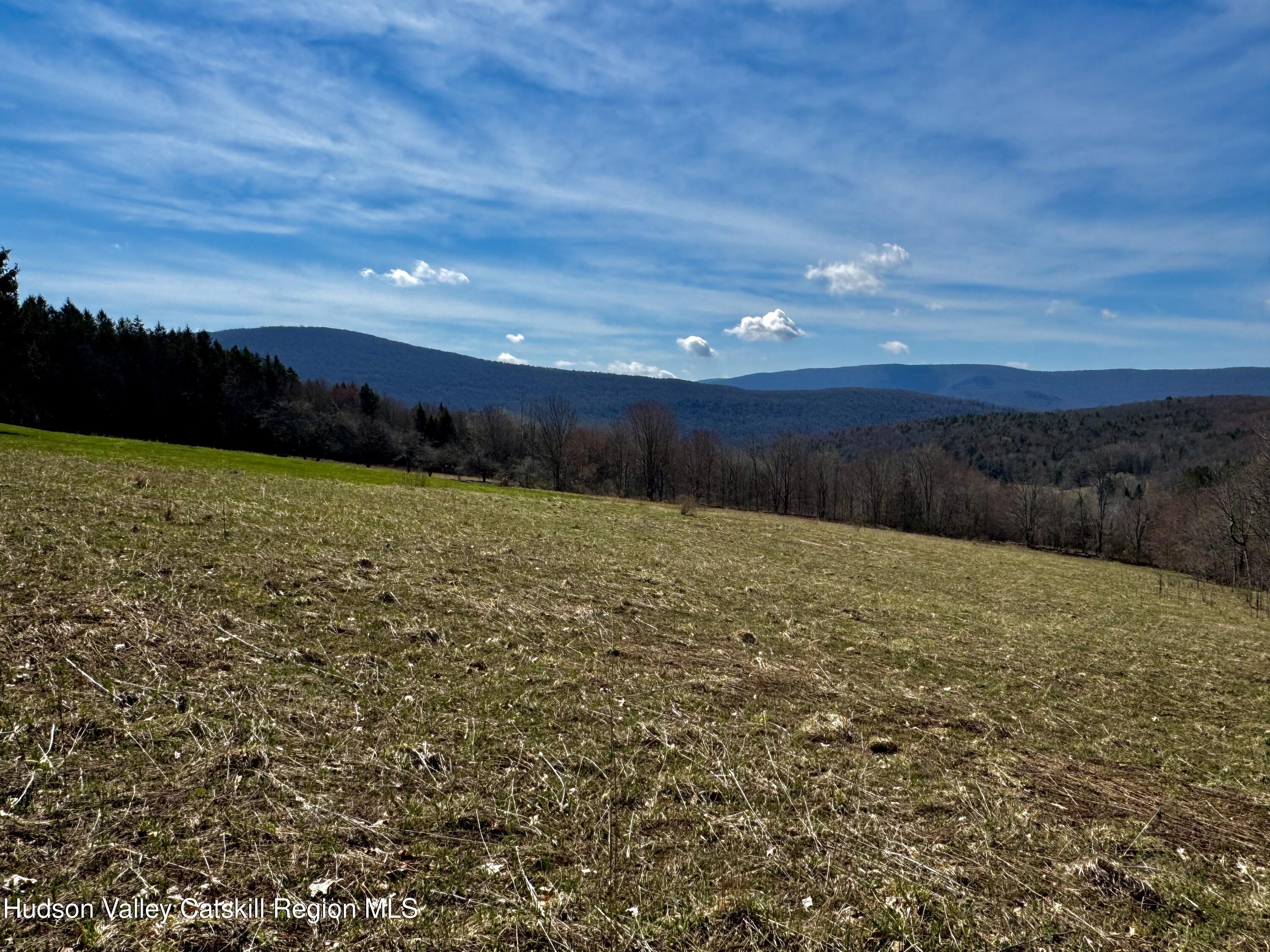 Tbd Hogg Mountain Road Fleischmanns, NY 12430 - Photo 13 of 22 #13