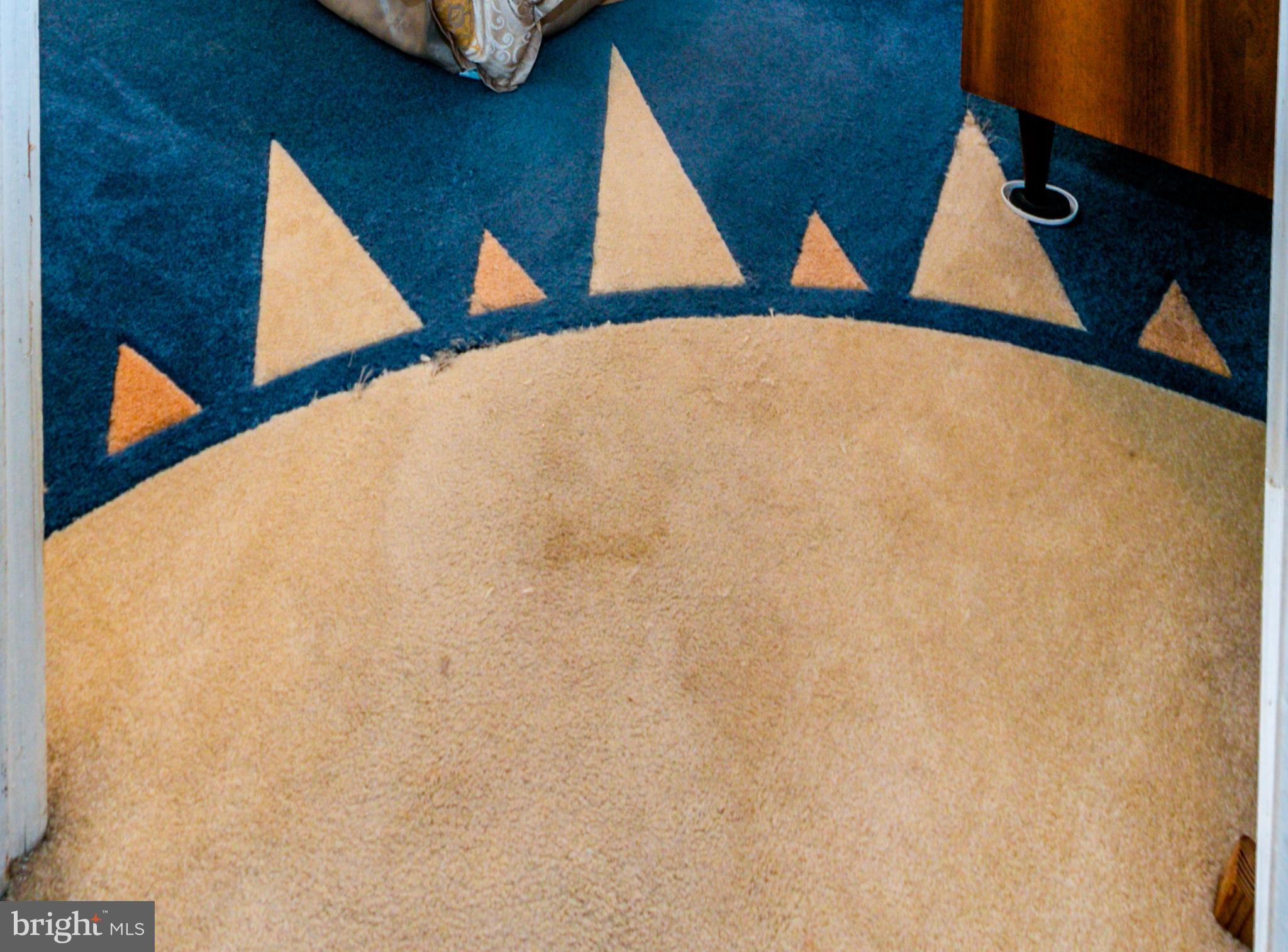 174 Franklyn Road Ewing, NJ 08628 - Photo 21 of 26 Master Bedroom-Carpet