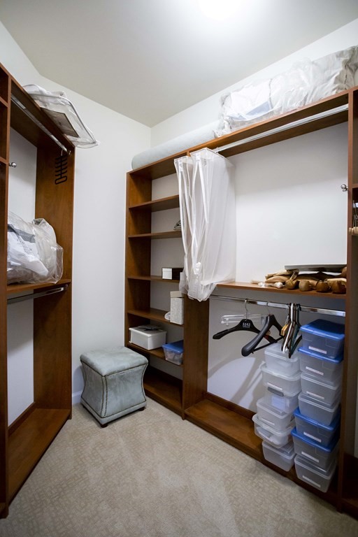 10 Abigail Way, Unit 3004 Reading, MA 01867 - Photo 10 of 32 a living room with furniture and a walk in closet