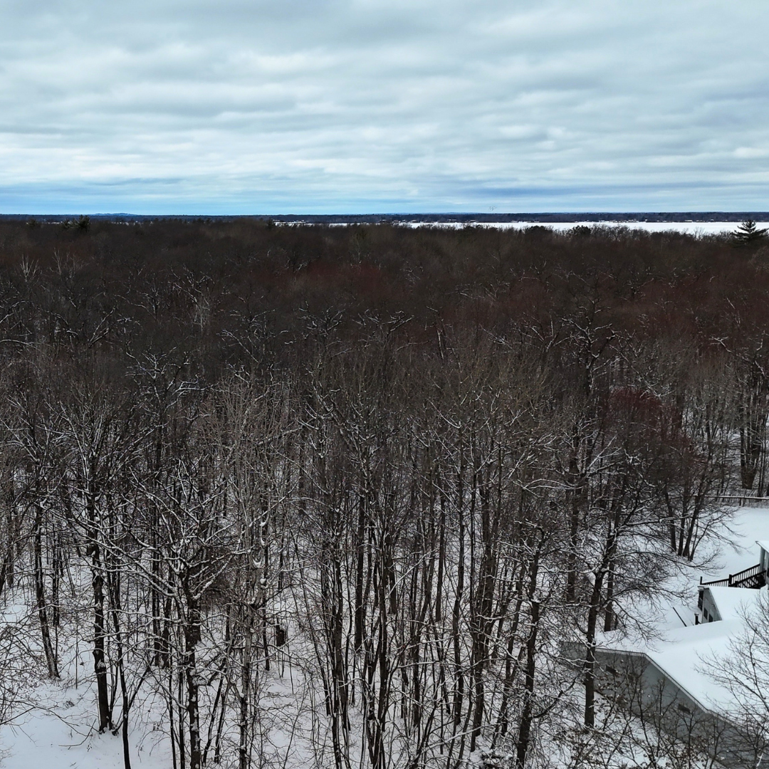 12913 Dobbins Road Merrifield, MN 56465 - Photo 4 of 4