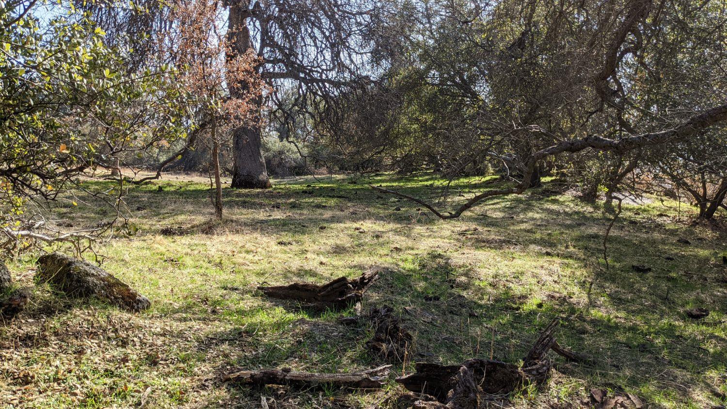 0 6.52 Acre Whitaker Forest Road Badger, CA 93603 - Photo 1 of 8 Gallery Image 1