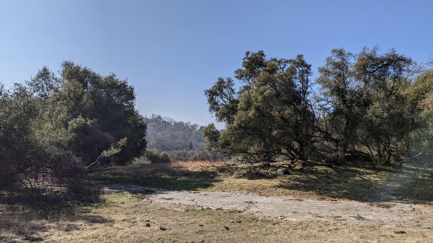 0 6.52 Acre Whitaker Forest Road Badger, CA 93603 - Photo 2 of 8 Gallery Image 2