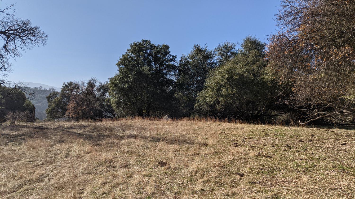 0 6.52 Acre Whitaker Forest Road Badger, CA 93603 - Photo 4 of 8 Gallery Image 4