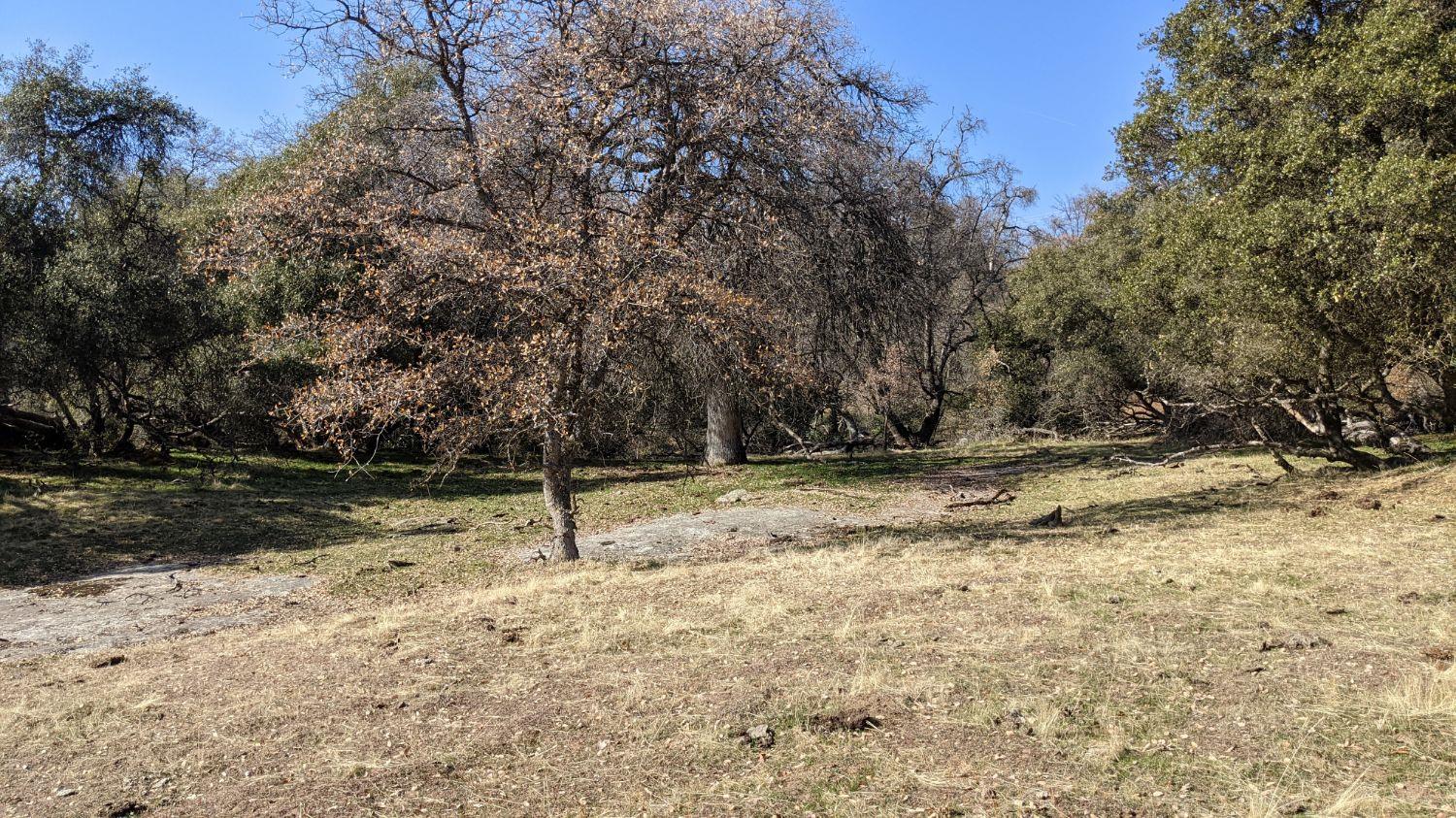 0 6.52 Acre Whitaker Forest Road Badger, CA 93603 - Photo 6 of 8 Gallery Image 6