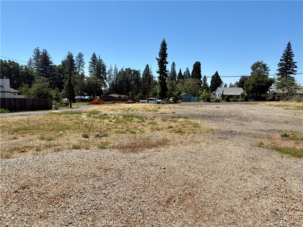 1123 Bille Road Paradise, CA 95969 - Photo 4 of 12 a view of a yard with trees in the background