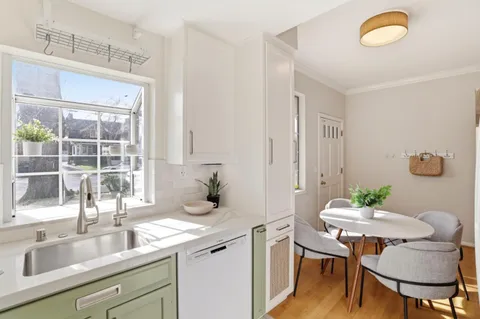 a kitchen with a sink and a potted plant