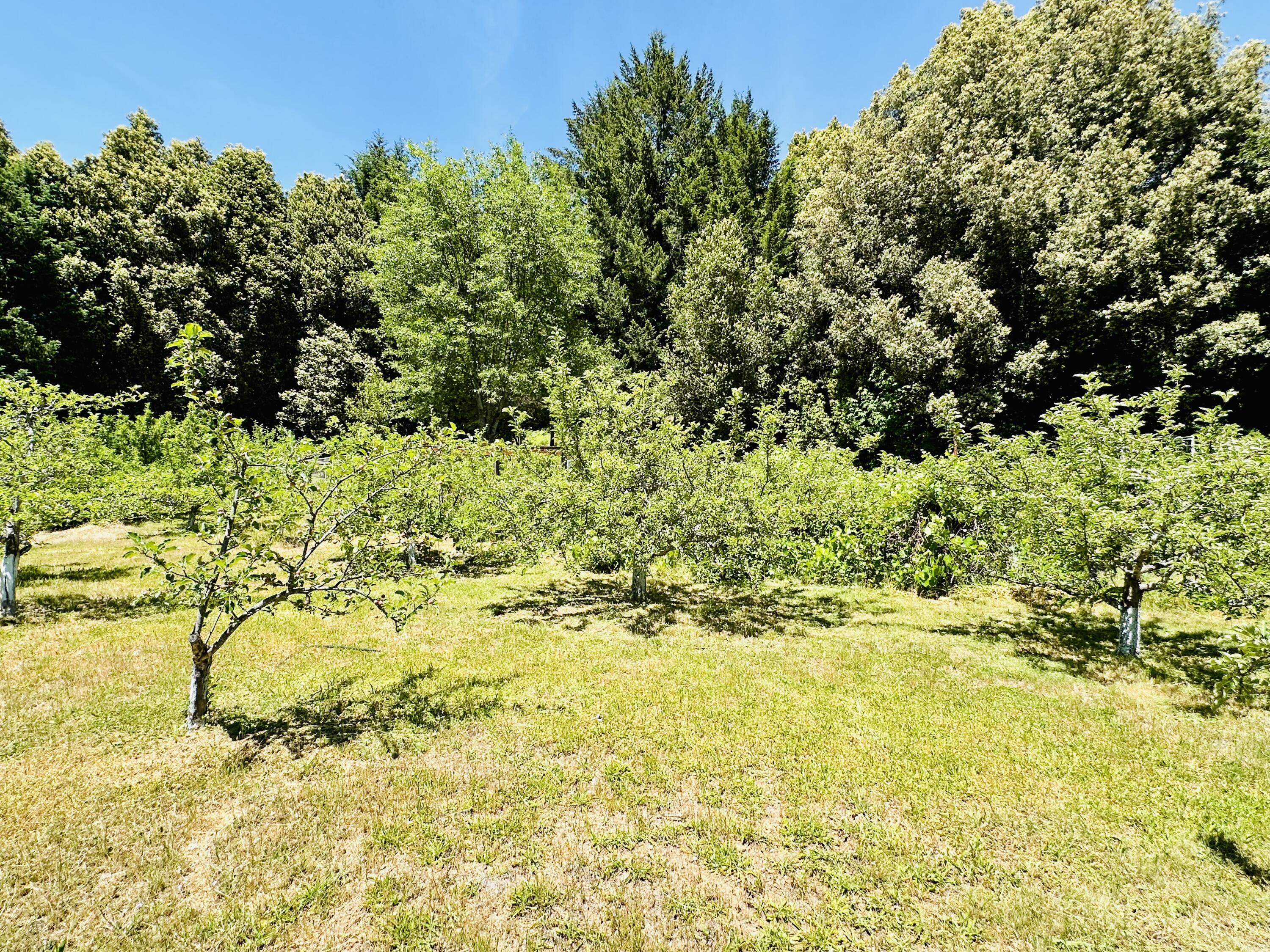 5500 Goodman Ranch Road Garberville, CA 95542 - Photo 122 of 153