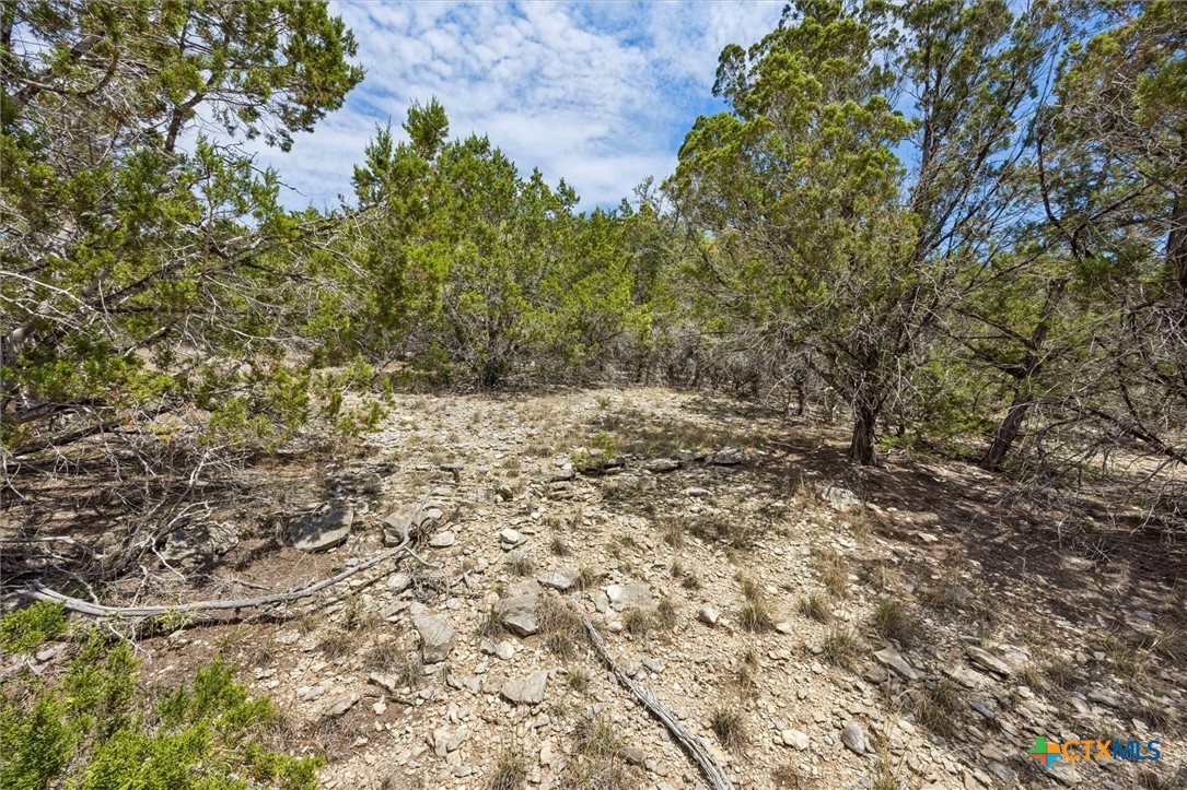 1082 Madrone Road Fischer, TX 78623 - Photo 11 of 12